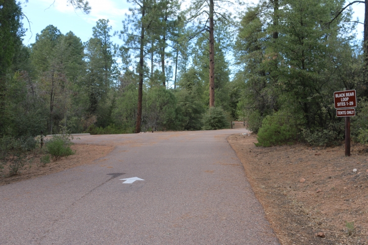 A Guide to Camping at Houston Mesa Campground in Arizona.