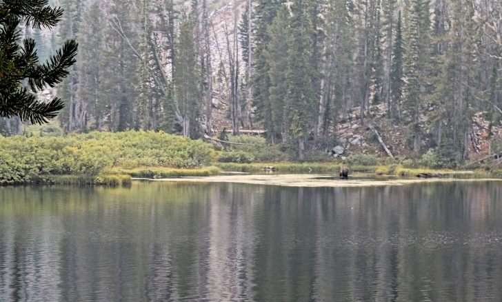 A guide to camping in Big Roaring River Lake Campground Idaho.