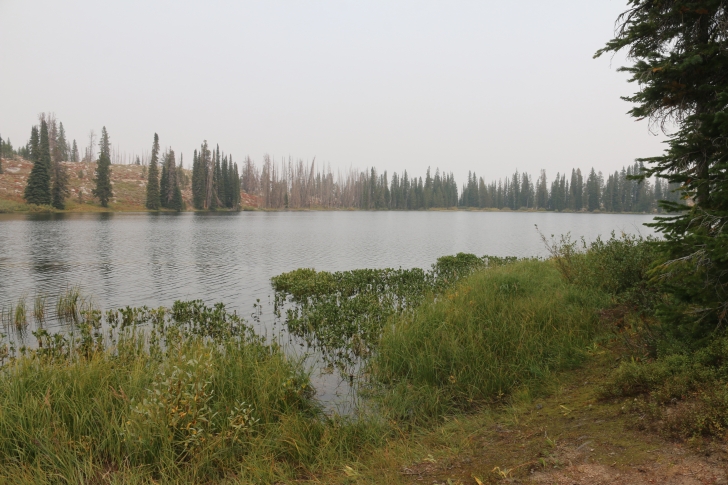 A guide to camping in Big Trinity Lake Campground Idaho