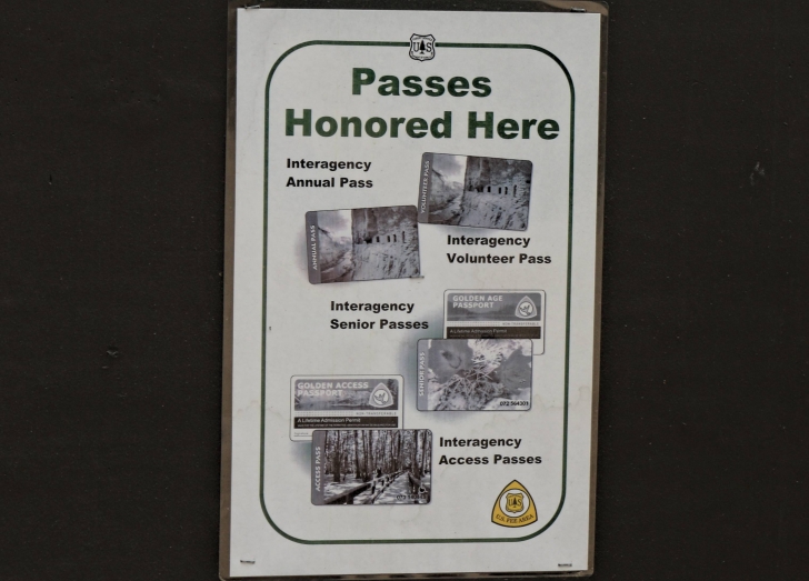 A guide to camping in Big Trinity Lake Campground Idaho