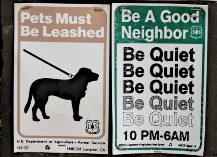 A guide to camping in Big Trinity Lake Campground Idaho