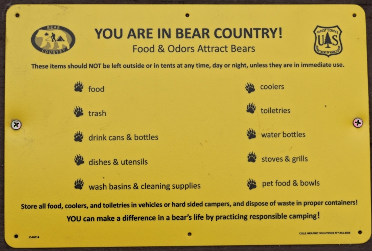 A guide to camping in Big Trinity Lake Campground Idaho