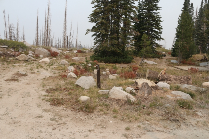 A guide to camping in Big Trinity Lake Campground Idaho