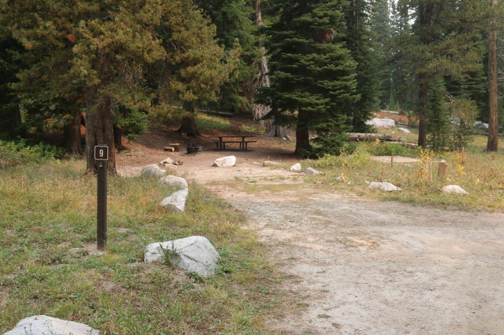 A guide to camping in Big Trinity Lake Campground Idaho