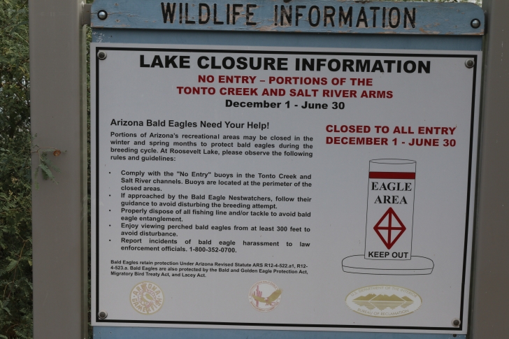 Camping at Cholla Campground - Arizona