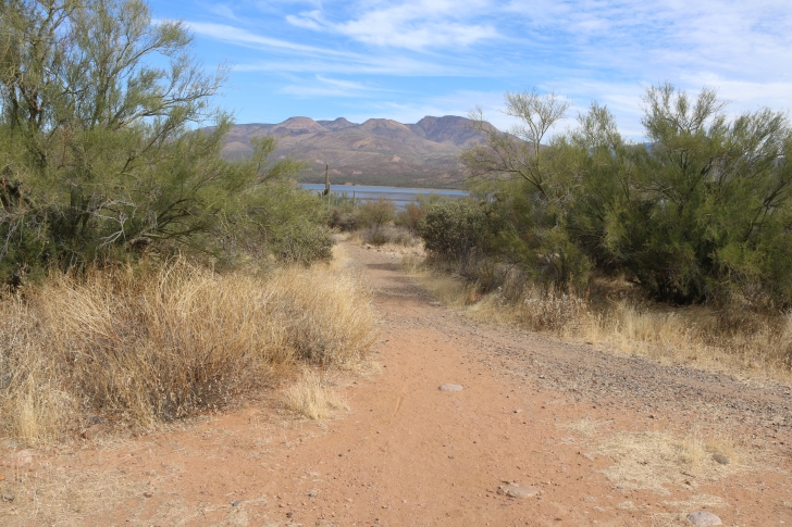 Camping at Cholla Campground - Arizona