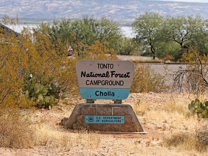 Camping at Cholla Campground - Arizona