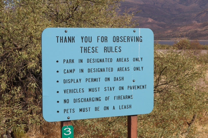 Camping at Cholla Campground - Arizona
