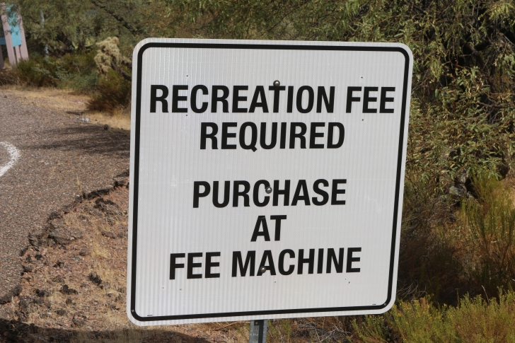 Camping at Cholla Campground - Arizona