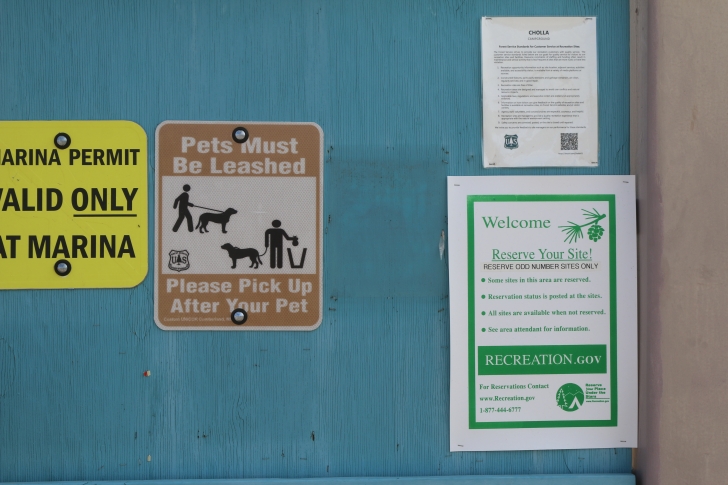 Camping at Cholla Campground - Arizona