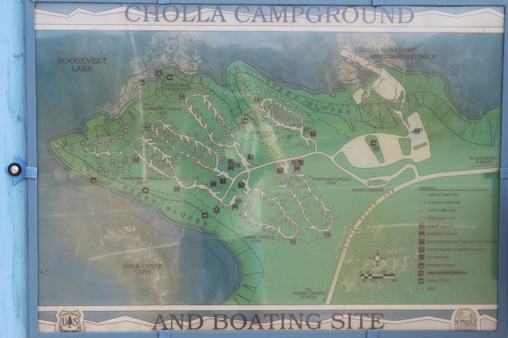 Camping at Cholla Campground - Arizona