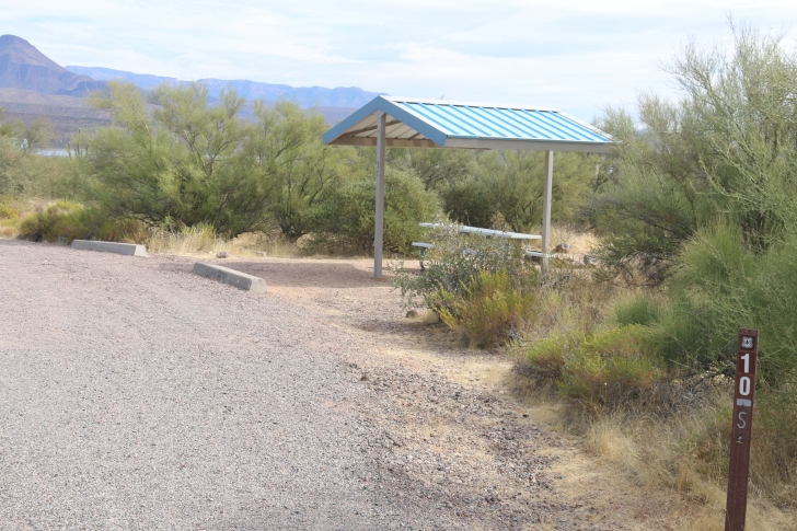 Camping at Cholla Campground - Arizona