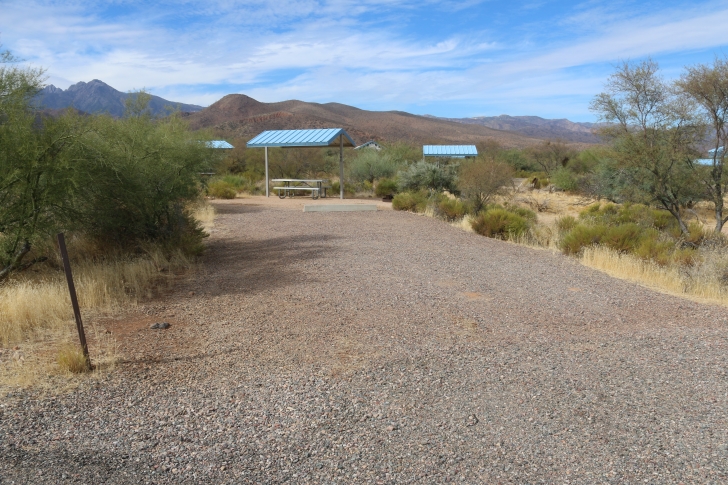 Camping at Cholla Campground - Arizona