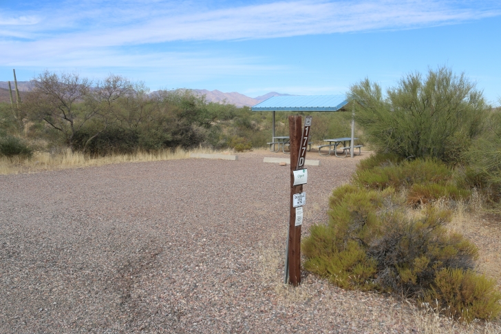 Camping at Cholla Campground - Arizona