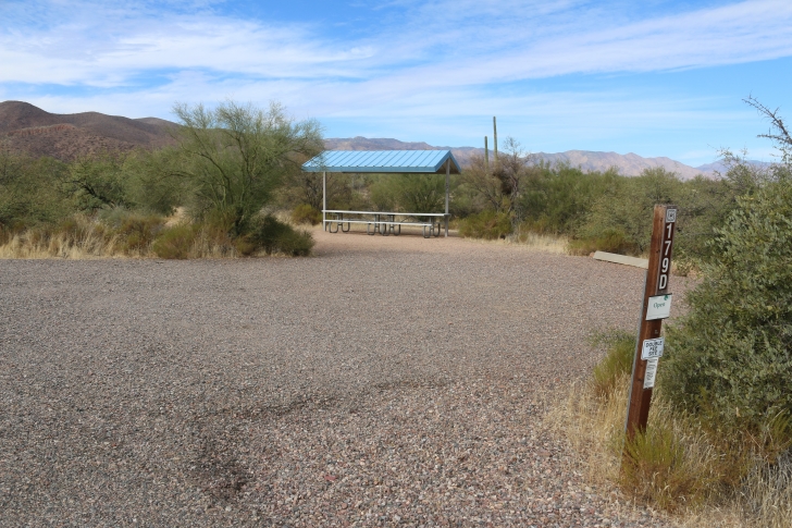 Camping at Cholla Campground - Arizona