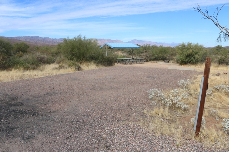 Camping at Cholla Campground - Arizona
