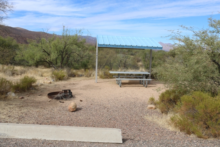 Camping at Cholla Campground - Arizona