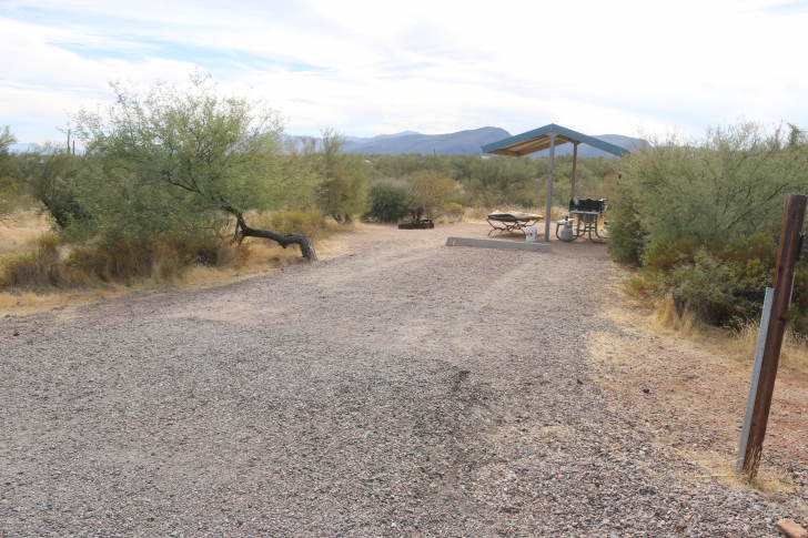 Camping at Cholla Campground - Arizona