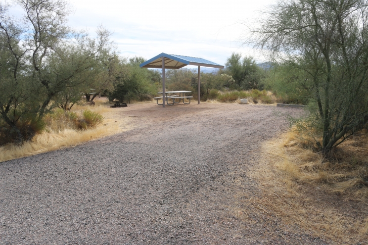 Camping at Cholla Campground - Arizona