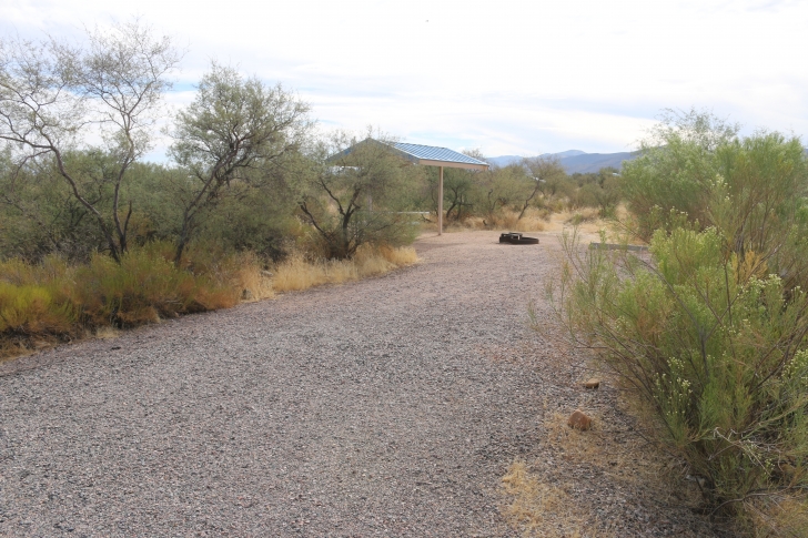 Camping at Cholla Campground - Arizona