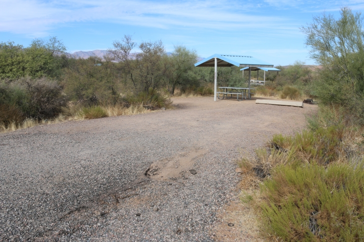 Camping at Cholla Campground - Arizona