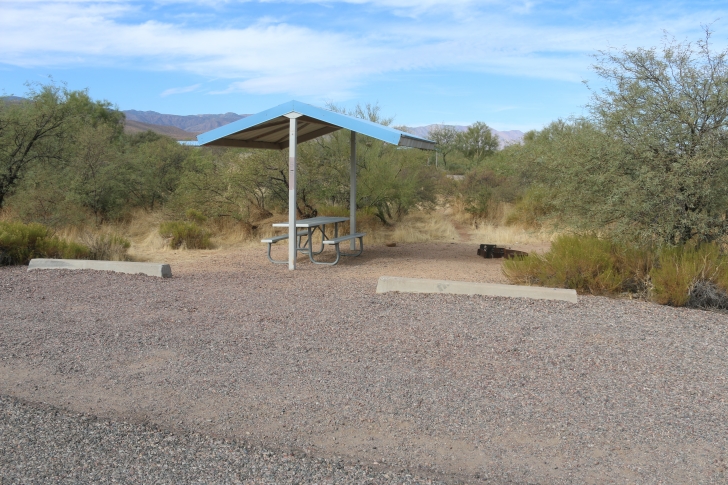 Camping at Cholla Campground - Arizona