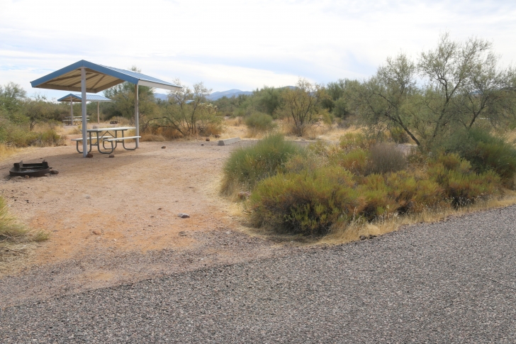 Camping at Cholla Campground - Arizona