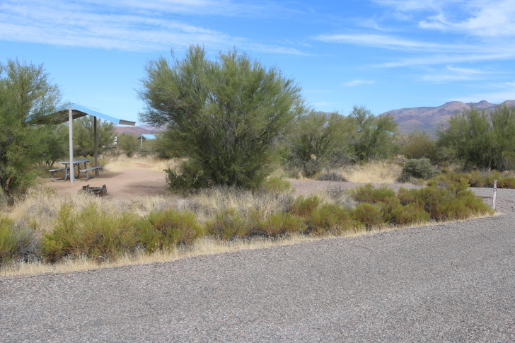 Camping at Cholla Campground - Arizona