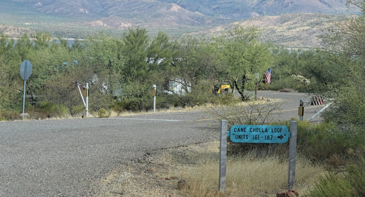 Camping at Cholla Campground - Arizona