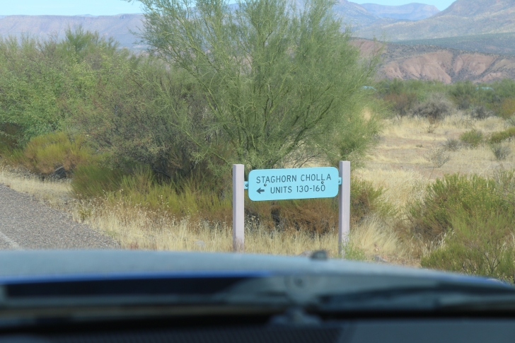 Camping at Cholla Campground - Arizona