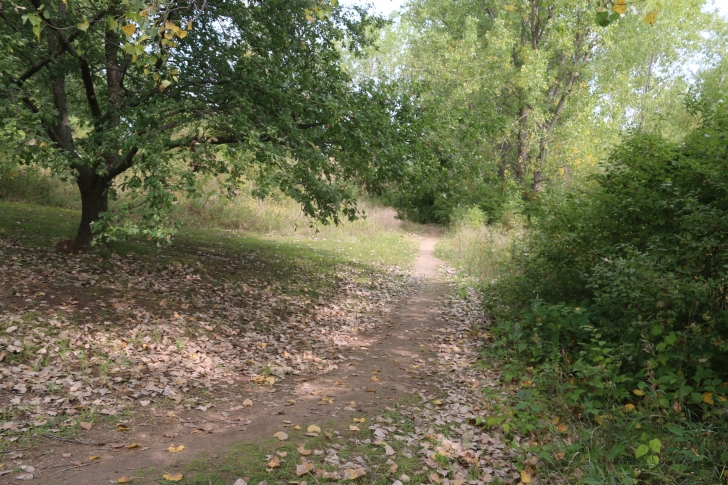 Camping at Eugene T Mahoney State Park in Nebraska