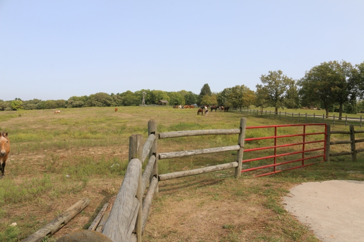 Camping at Eugene T Mahoney State Park in Nebraska