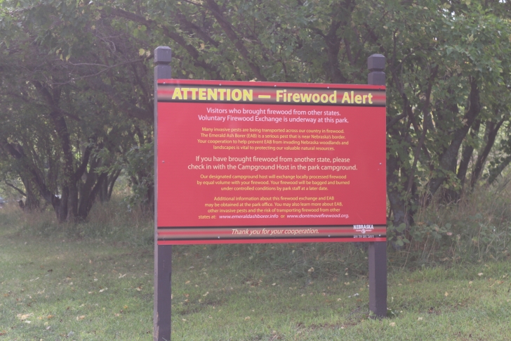 Camping at Eugene T Mahoney State Park in Nebraska