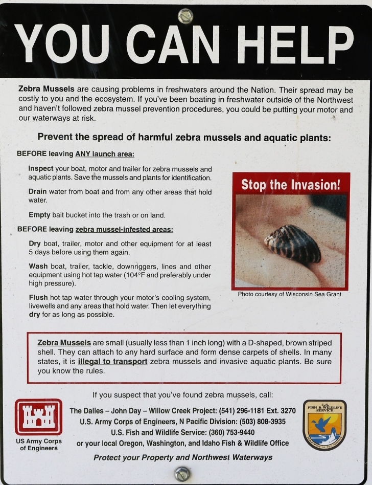 Farragut State Park, Idaho