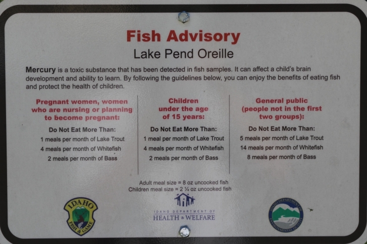 Farragut State Park, Idaho