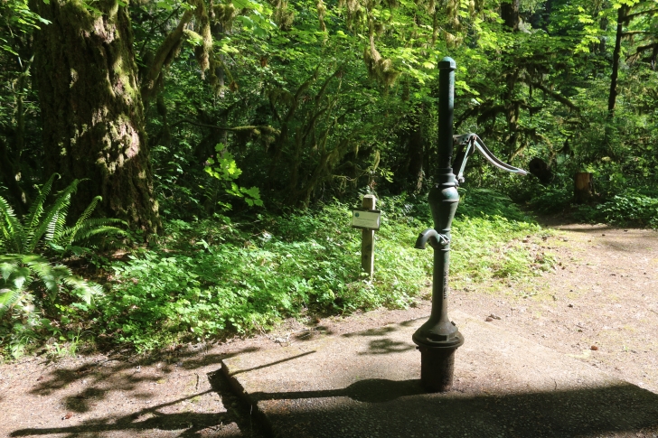 Trout Creek Campground on the South Santiam River