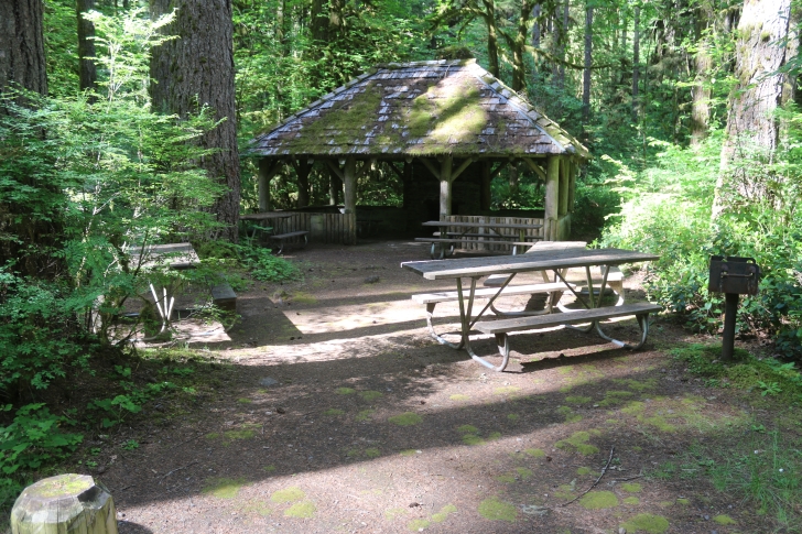 Trout Creek Campground on the South Santiam River