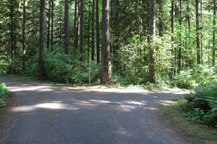 Trout Creek Campground on the South Santiam River