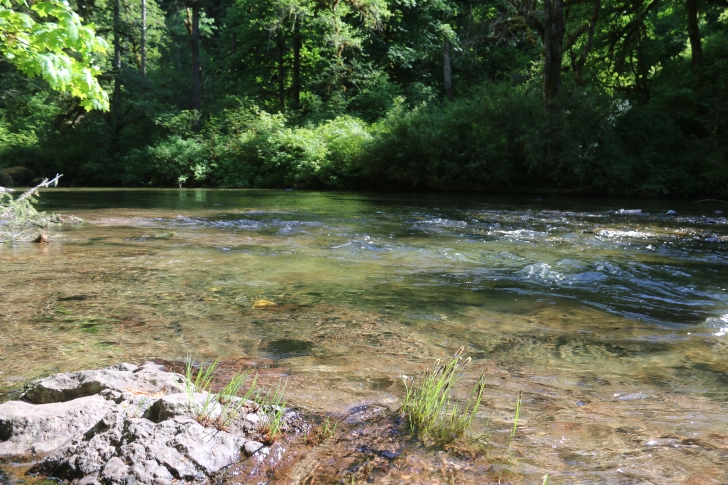 Trout Creek Campground on the South Santiam River