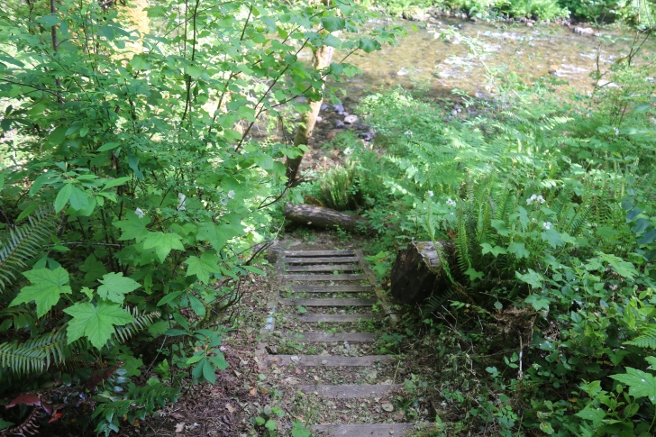 Trout Creek Campground on the South Santiam River