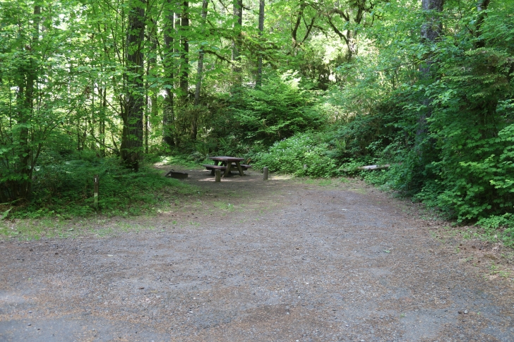 Trout Creek Campground on the South Santiam River