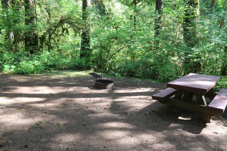 Trout Creek Campground on the South Santiam River