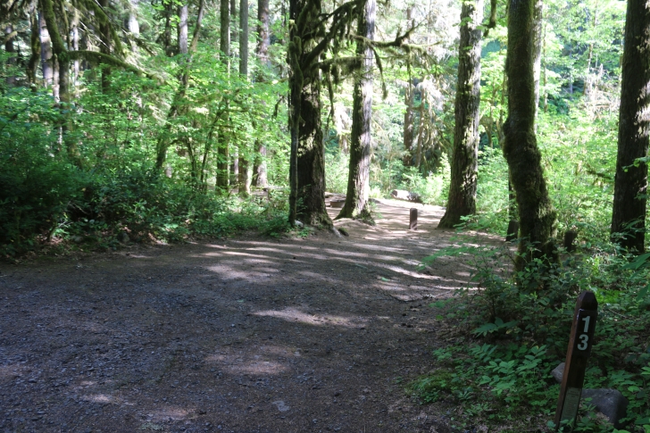 Trout Creek Campground on the South Santiam River