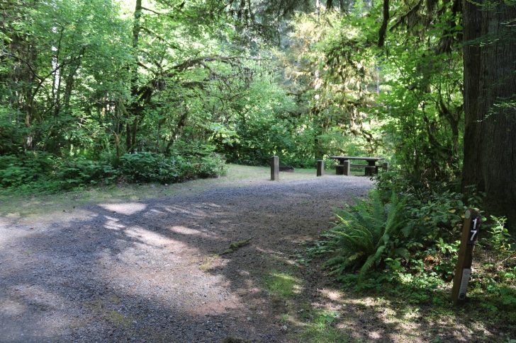 Trout Creek Campground on the South Santiam River