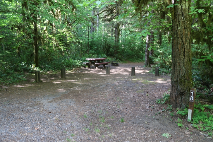 Trout Creek Campground on the South Santiam River