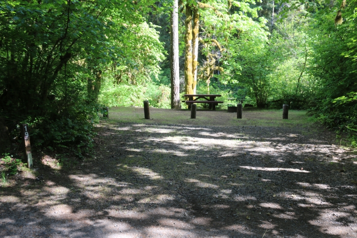 Trout Creek Campground on the South Santiam River