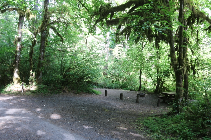 Trout Creek Campground on the South Santiam River
