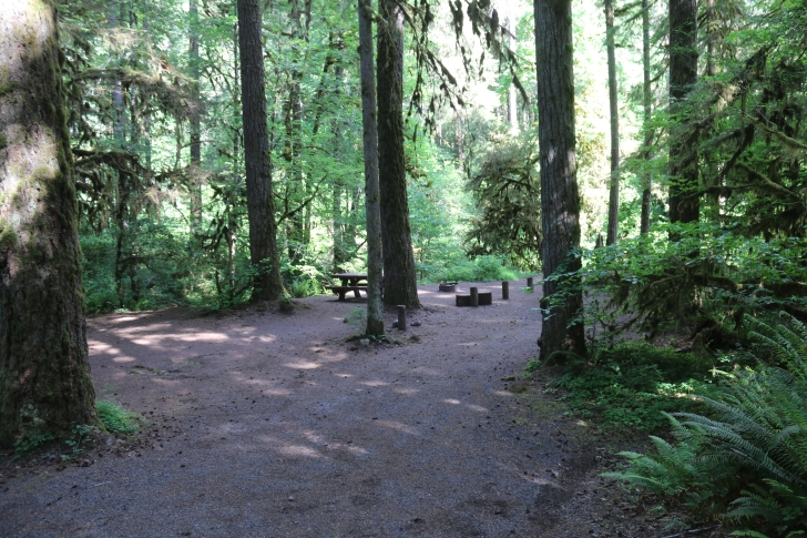 Trout Creek Campground on the South Santiam River