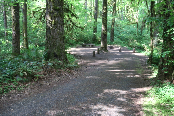Trout Creek Campground on the South Santiam River