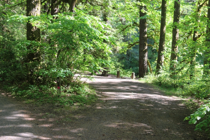 Trout Creek Campground on the South Santiam River